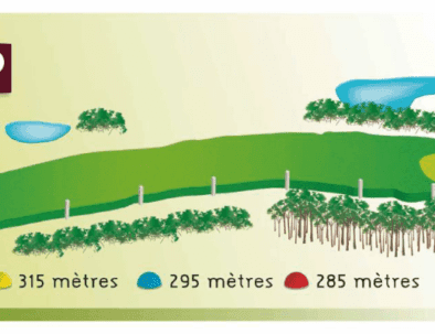 Plan du trou n°1, un par 4 avec un handicap de 1. Ce trou mesure 320 mètres depuis le tee blanc, 315 mètres depuis le tee jaune, 295 mètres depuis le tee bleu et 285 mètres depuis le tee rouge. Le parcours présente un fairway sinueux avec des obstacles d'eau et des zones boisées sur les côtés, offrant un défi intéressant pour les golfeurs de tous niveaux. Le green est situé à droite, accessible après une approche stratégique