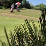 Paysage de golf en été avec des golfeurs utilisant des chariots de golf. En arrière-plan, on peut voir des personnes sous des parasols, accompagnées de verdure et d'arbres typiques d'un parcours. L'image évoque une atmosphère de détente et d'activité sportive en plein air, avec un focus sur la nature environnante et le plaisir du golf.