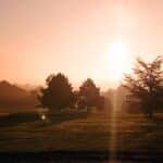 Lever de soleil sur un paysage verdoyant avec des arbres majestueux. La lumière douce du matin éclaire le ciel d'une teinte rose orangé, créant une atmosphère paisible. En arrière-plan, des lignes électriques se dessinent, ajoutant une touche industrielle à la nature environnante. Ce décor idyllique évoque la tranquillité et la beauté du lever du jour en milieu rural.