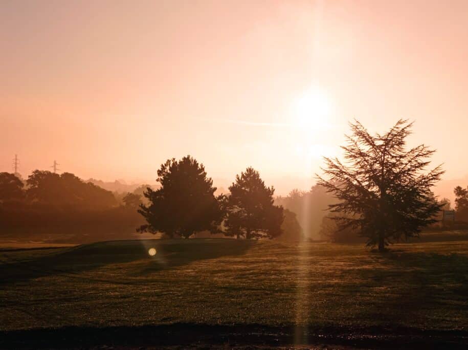 Lever de soleil sur un paysage verdoyant avec des arbres majestueux. La lumière douce du matin éclaire le ciel d'une teinte rose orangé, créant une atmosphère paisible. En arrière-plan, des lignes électriques se dessinent, ajoutant une touche industrielle à la nature environnante. Ce décor idyllique évoque la tranquillité et la beauté du lever du jour en milieu rural.