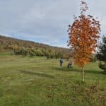 Un golfeur se promène sur un parcours verdoyant, entouré d'arbres aux feuillages colorés d'automne. Un arbre à feuilles rouges se distingue au premier plan, tandis qu'une colline boisée aux teintes dorées et oranges se dessine à l'arrière-plan. Cette image évoque une journée paisible en plein air, idéale pour pratiquer le golf ou profiter de la nature en saison automnale.