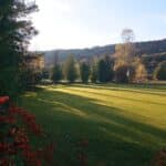 Paysage de golf en automne, montrant un green bien entretenu avec un drapeau blanc, entouré d'arbres aux feuillages colorés. La lumière douce du soleil couchant crée des ombres longues sur le gazon, tandis que des baies rouges ajoutent une touche de couleur au premier plan. Idéal pour les amateurs de golf et les passionnés de nature.