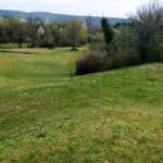 Vue panoramique d'un terrain de golf verdoyant, mettant en avant des fairways bien entretenus et entourés d'arbres en fleurs. Le ciel partiellement nuageux crée une ambiance sereine, propice à la pratique du golf. L'image capture la beauté naturelle du paysage, avec des zones herbeuses et des buissons, offrant un cadre idéal pour les golfeurs et les amateurs de nature.