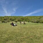 Groupe de golfeurs sur un parcours verdoyant par une journée ensoleillée. Le ciel est bleu avec quelques nuages légers, et les arbres verdoyants en arrière-plan ajoutent une touche de nature. Les golfeurs, équipés de chariots, se préparent à jouer, illustrant une ambiance conviviale et sportive. Cette scène évoque le plaisir du golf en plein air et l'importance de l'activité physique dans un cadre naturel.